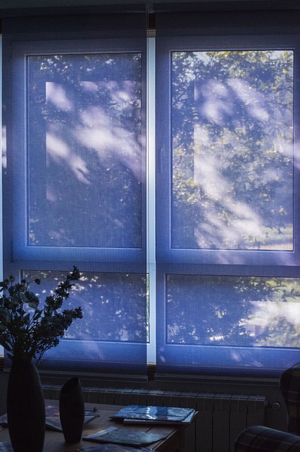 Free Window Blue photo and picture