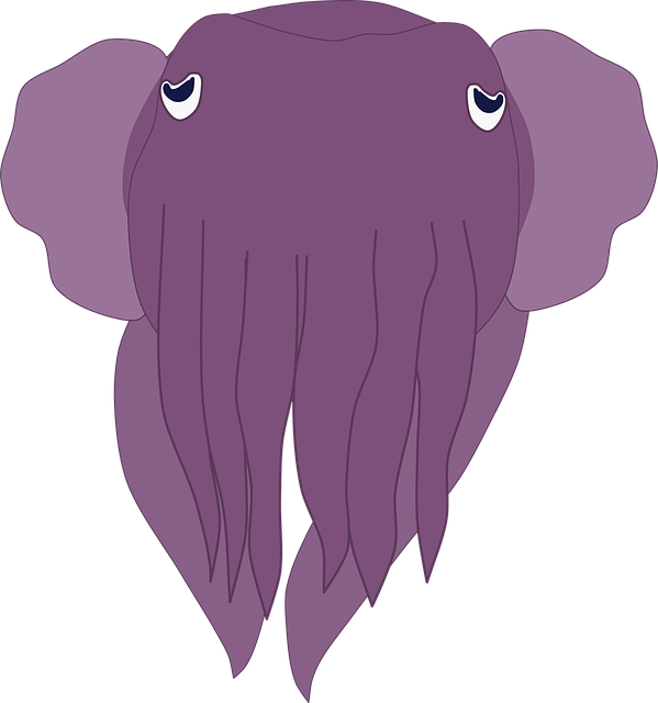 Free octopus squid fish vector