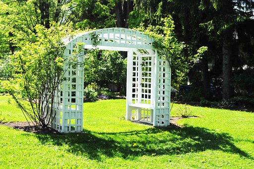 Free Trellis Lawn photo and picture