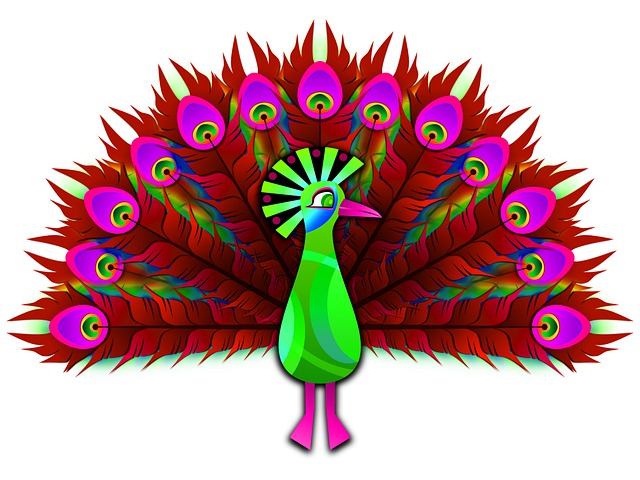 Free peacock bird animal illustration
