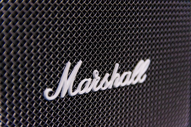 Free Marshall Steel photo and picture