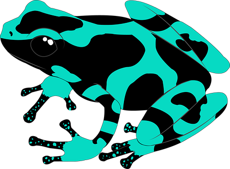 Exotisch, Amphibie, Frosch, Grün