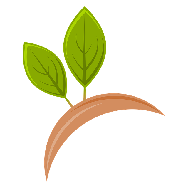 Free drawing soon nature illustration