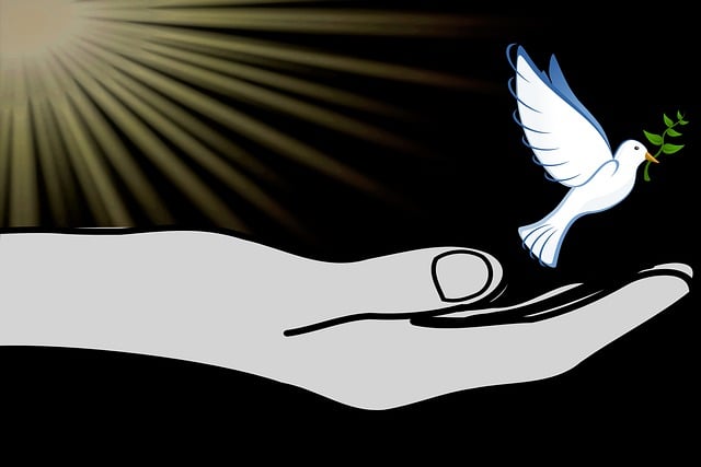 Download free HD stock image of Hand Dove Free hand dove peace illustration