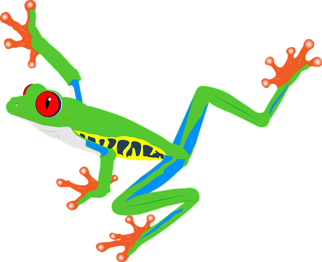 Free frog rainforest red eyes illustration