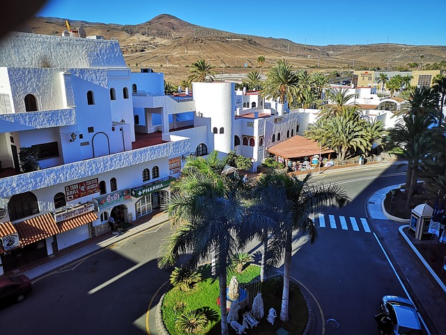 Balsam-Baum, Spanien, Gran Canaria
