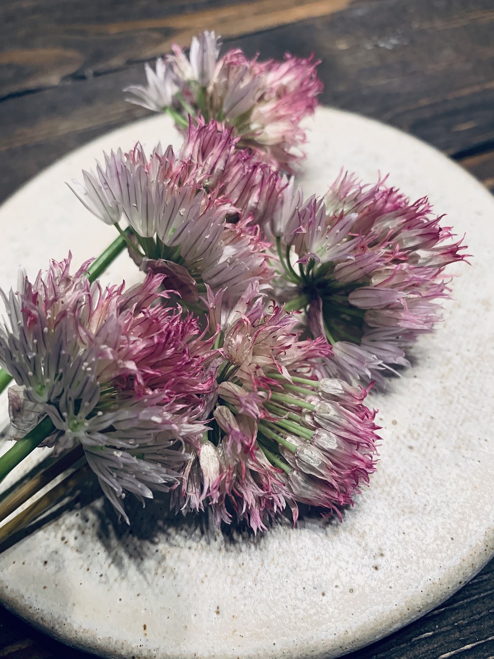 Chives Chive Flowers Herbs Free photo on Pixabay Pixabay