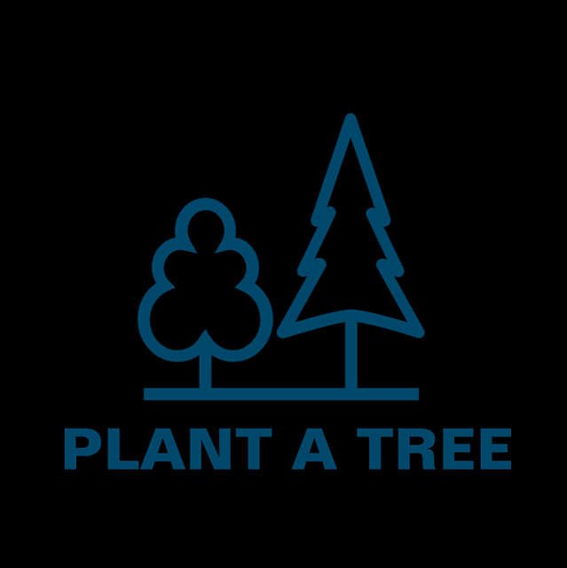 Pflanze, A, Baum, Natur