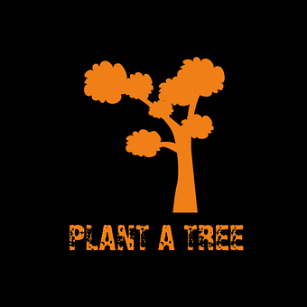 Baum, Pflanze, Natur, Unterzeichnen