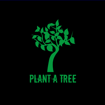 Pflanze, Baum, Natur, Wald, Landschaft