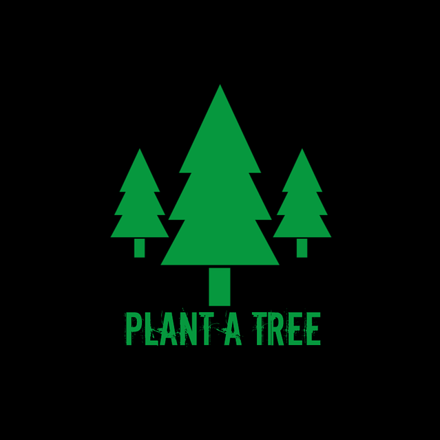 Pflanze, Baum, Wald, Natur, Landschaft