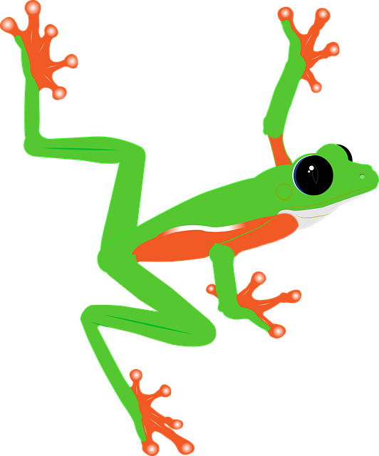 Frosch, Amphibie, Tier, Schwarze Augen