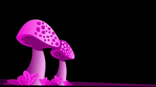 Free mushrooms fungi fungus vector