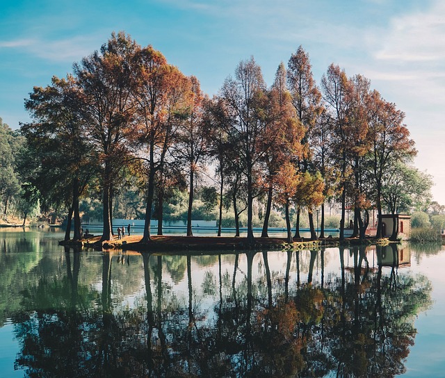 Free Trees River photo and picture