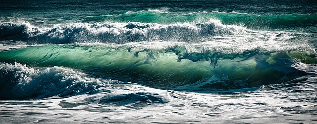 Free Waves Ocean photo and picture