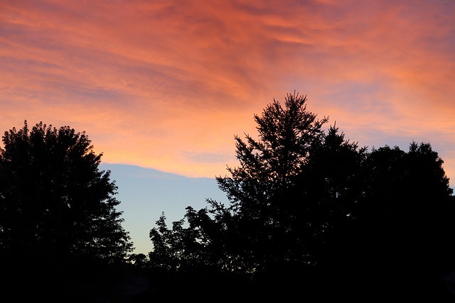 Free Sky Dusk photo and picture