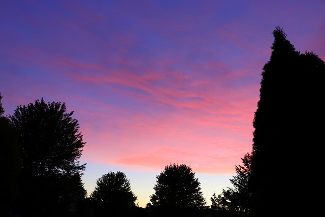 Free Sky Purple photo and picture