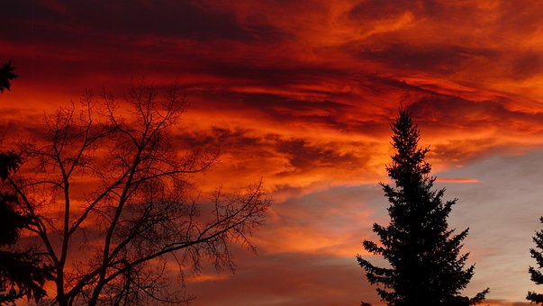 Free Sunset Orange photo and picture