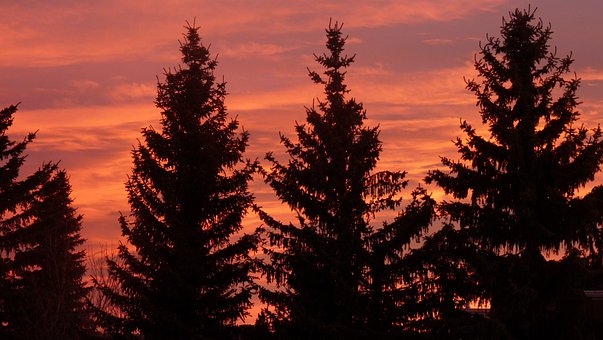 Free Sunset Silhouette photo and picture