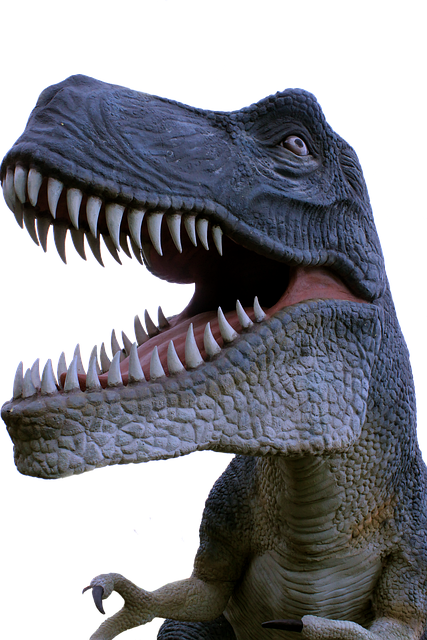Free Dinosaur Nature illustration and picture