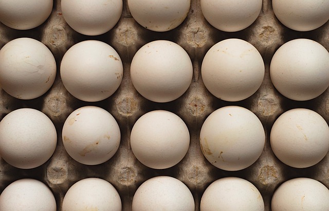 Eier, Henne, Lebensmittel, Hähnchen
