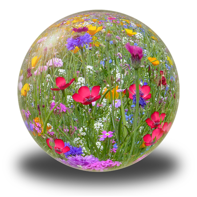 Free ball flower meadow summer illustration
