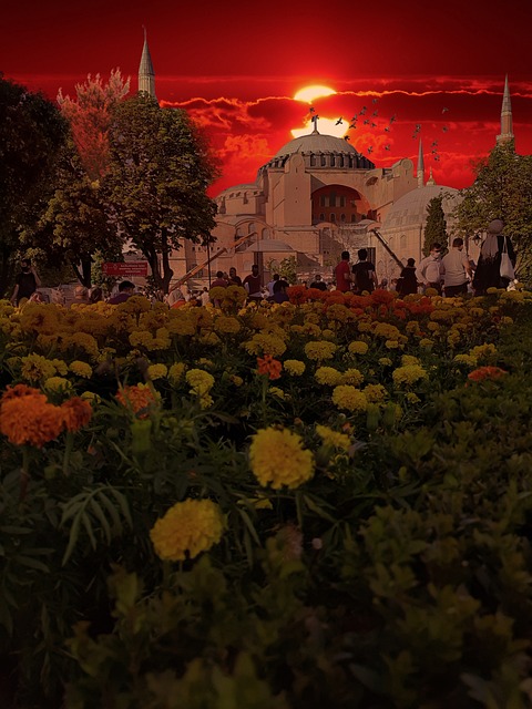 Free Hagia Sophia Cami photo and picture