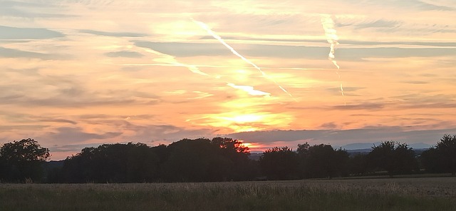 Free Heaven To Dye photo and picture