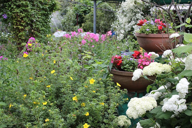 Gradina Flori Casa La Tara - Fotografie gratuită pe Pixabay - Pixabay