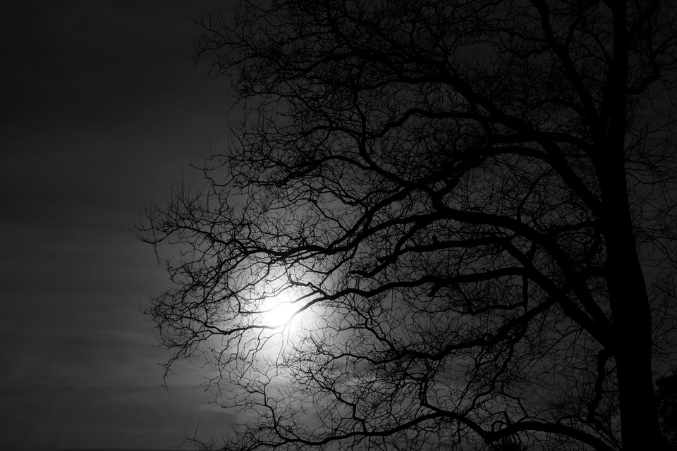 Creepy Atmosphere Mood Free photo on Pixabay Pixabay
