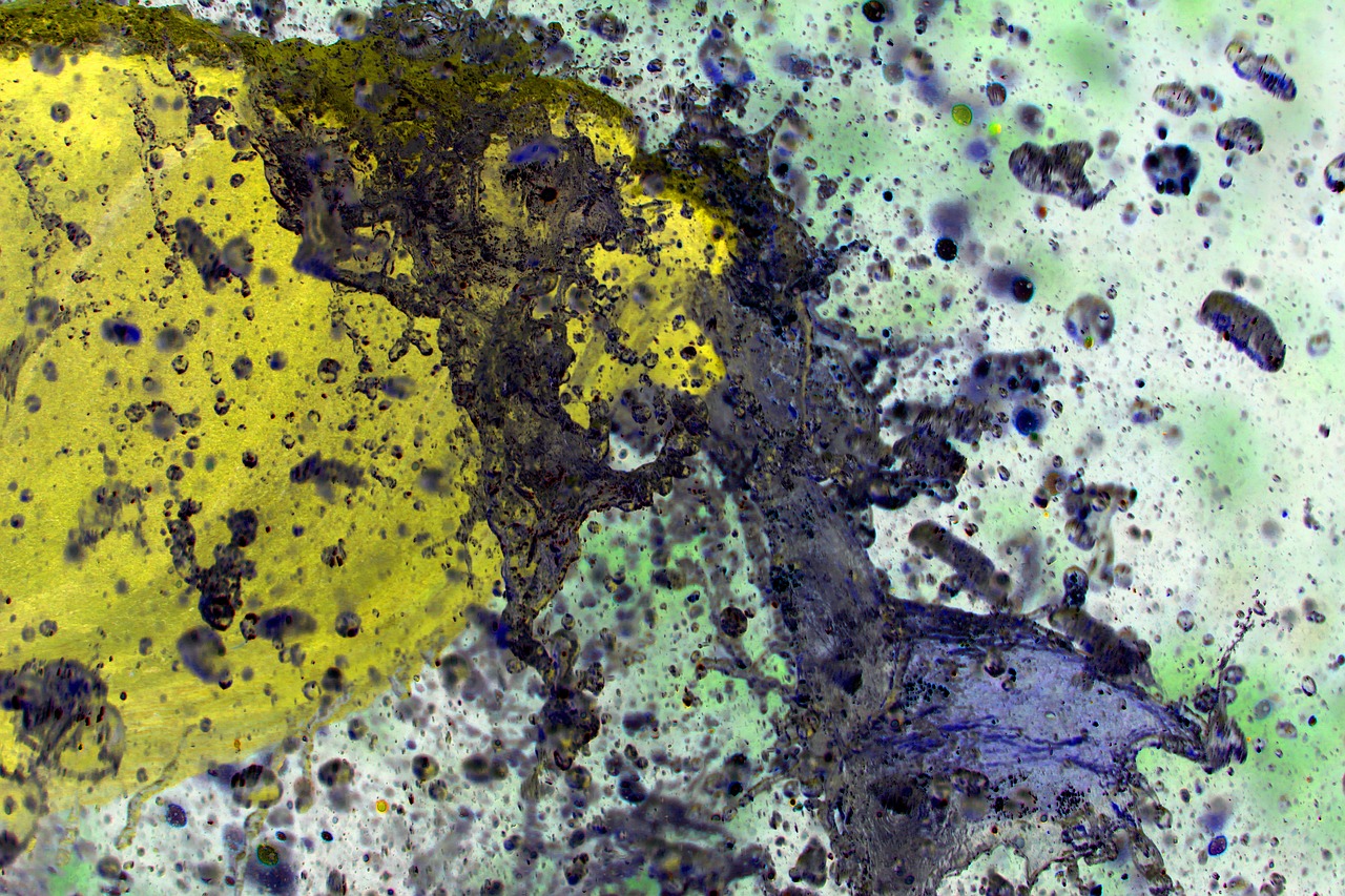 Paint - free online jigsaw puzzle photo