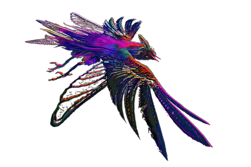 Free Bird Vogel illustration and picture