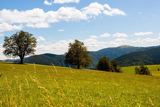 Free Meadow Sky photo and picture