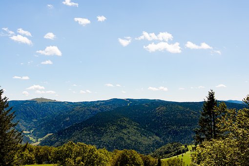 Free Mountains Meadow photo and picture