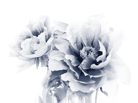 Flor, Aquarela, Pintura, Floral, Índigo