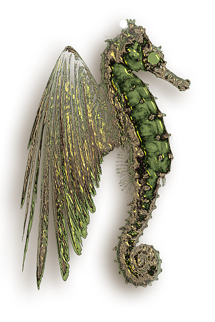 Free Seahorse Dragon illustration and picture
