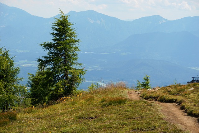 Free Mountains Trail photo and picture