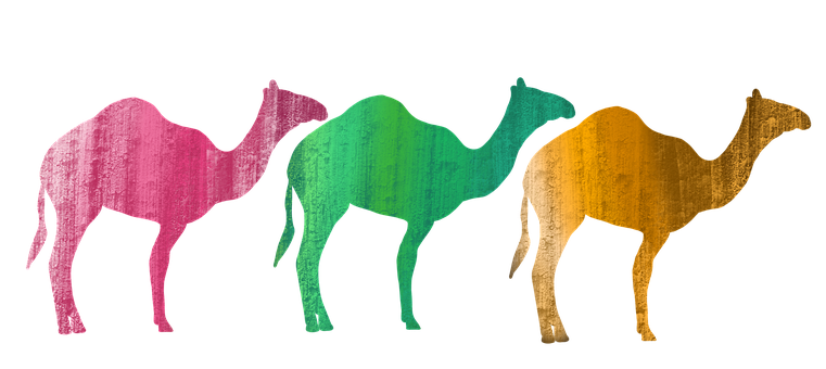 ラクダ デザートに関する90以上の無料イラスト Pixabay ラクダ デザートに関する90以上の無料イラスト Pixabay