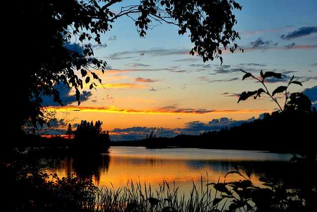 Free Lake Trees photo and picture