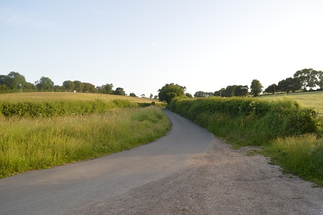 Page 8 - 70,000+ Free Country Roads & Road Images - Pixabay