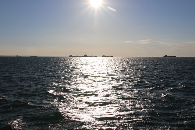 Free Water Bay photo and picture