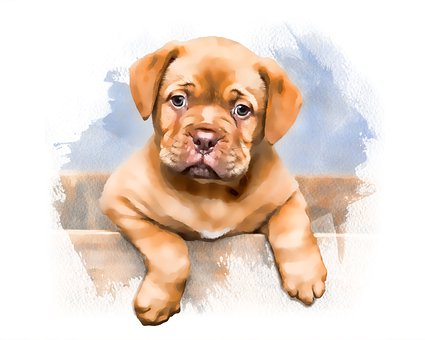 Filhote De Cachorro, Cachorro, Aquarela