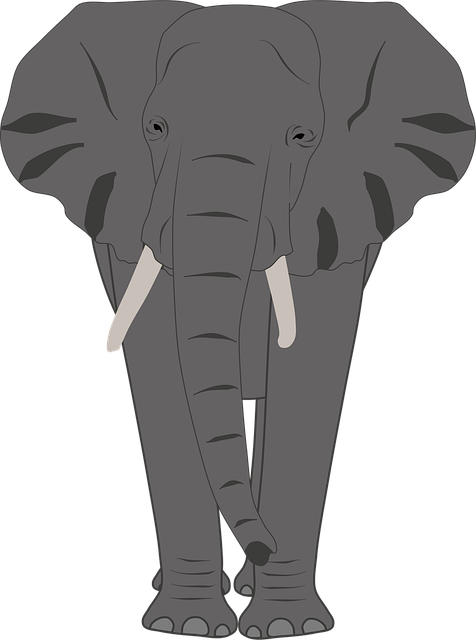 Free elephant animal african illustration