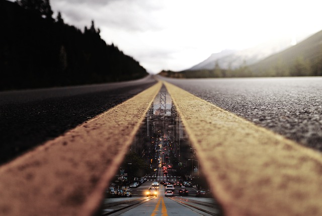 Free Road Forest photo and picture