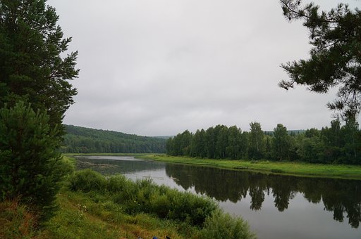 Natuur, Forest, Landschap, Zomer, Bomen