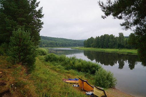 Natuur, Forest, Landschap, Zomer, Zon