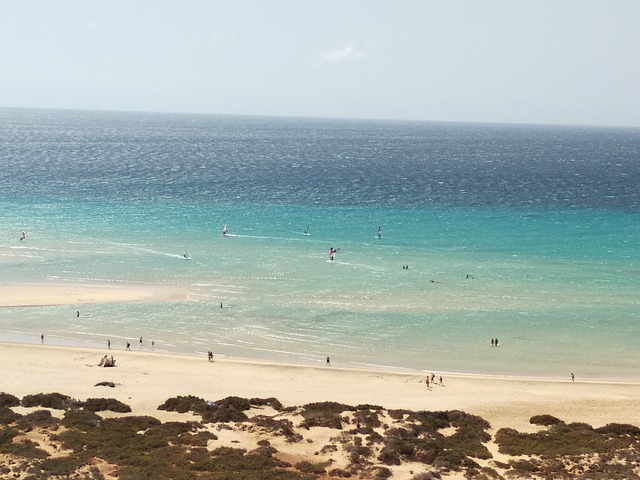 Free Ocean Sea photo and picture
