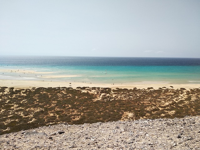 Free Sea Water photo and picture