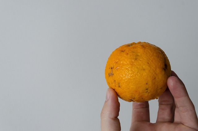 Free Orange Fruit photo and picture