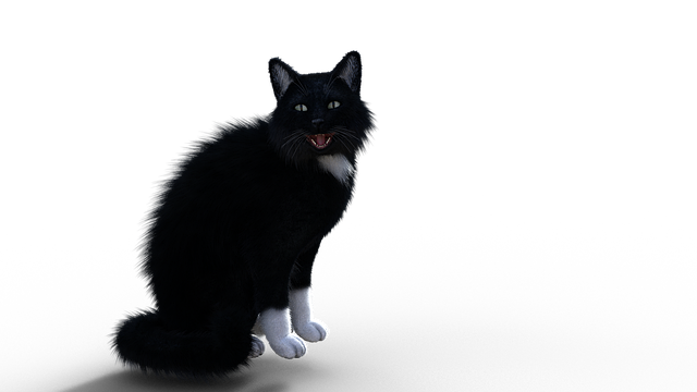 Download free HD stock image of Cat Kitty Free cat kitty meow illustration